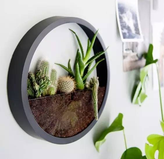 
房屋整体装修，墙面如何轻松装的好看又时髦？