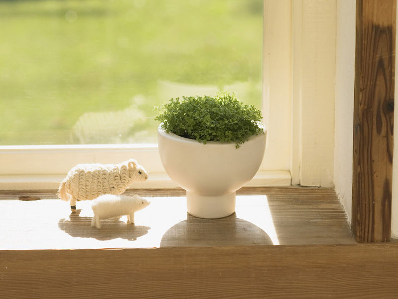 
窗台板用什么材料好？