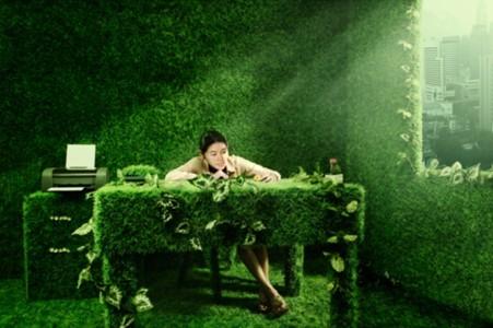 
环保家装的重要性，你一定要知道！