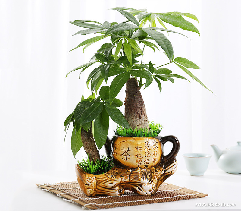 
这些客厅吉祥物，放在家里一定会很好看