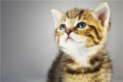 
想做个整体家居装修，但又对装修风格不了解怎么破?