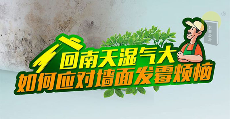 
回南天室内墙面发霉原因大解析！正确施工很重要