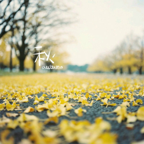 
为什么秋季装修这么火爆？秋季装修要注意哪些事项？