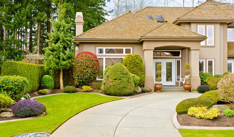 
广州别墅装修设计，要这样配置花园植物！