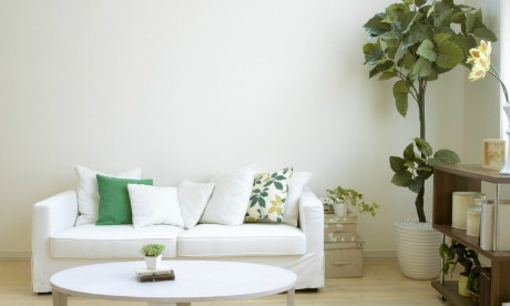 
刚装修的房子怎么去味？这些小妙招拿走不谢！