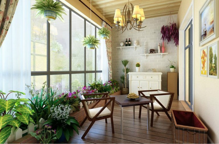 
适合在阳台养的8种植物，你知道吗？