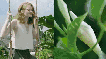 
恋上2019家居流行色，现代装修就该这样刷！